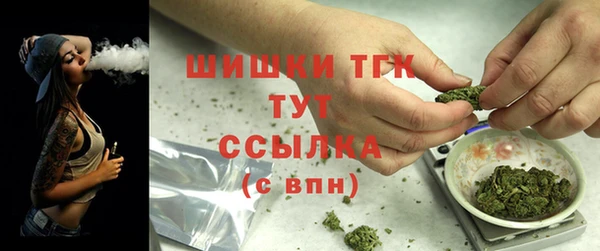 гидра Алексеевка
