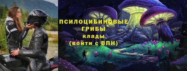 стафф Кулебаки