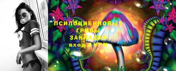 стафф Кулебаки