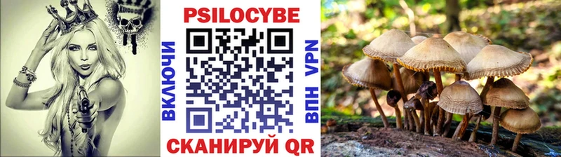 купить сайты Шиханы Псилоцибиновые грибы MAGIC MUSHROOMS